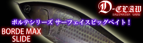 D-CLAW BORDE MAX SLIDE(ディークロウ ボルデマックス スライド