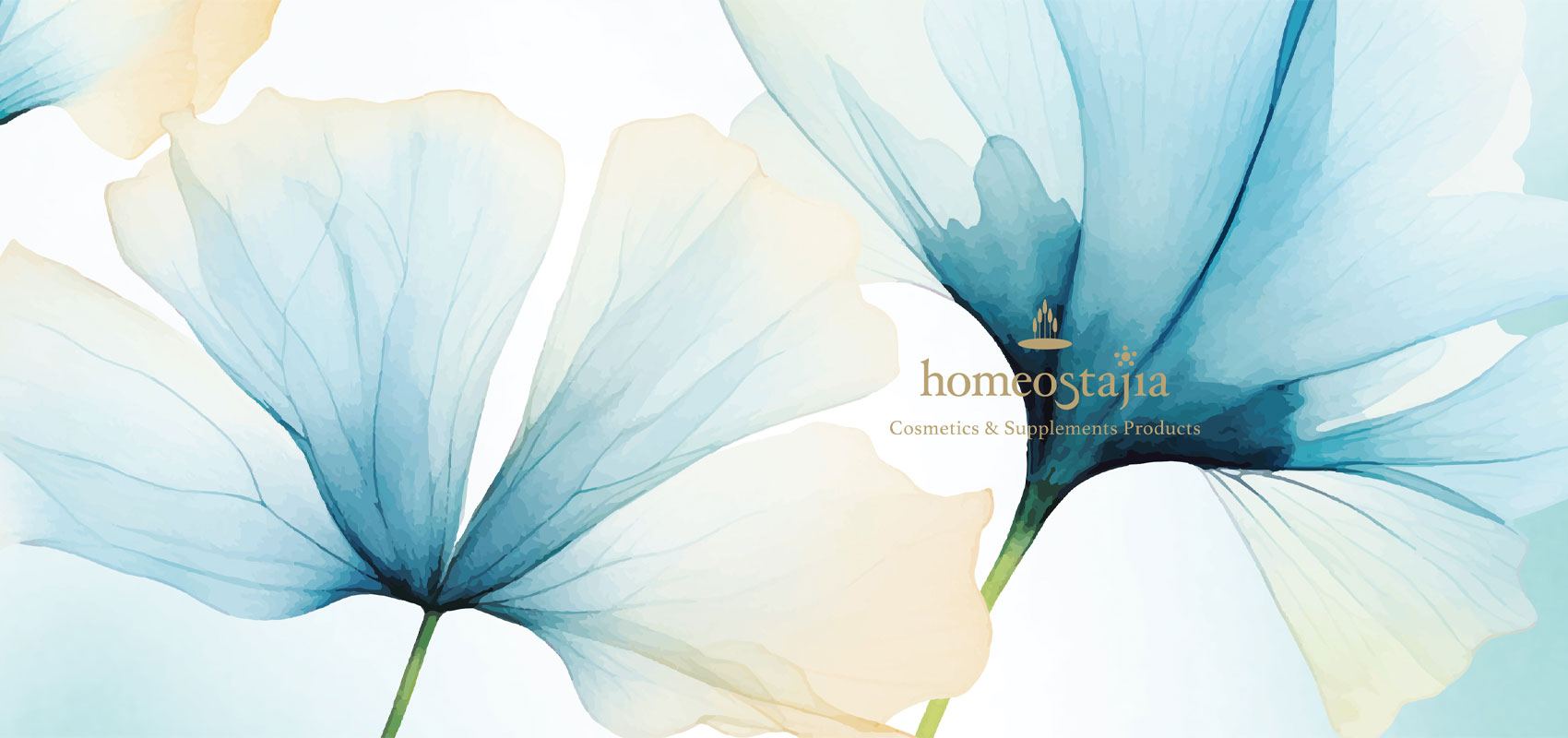 株式会社 homeostajia （ホメオスタジア） | SKIN SELF-BALANCE