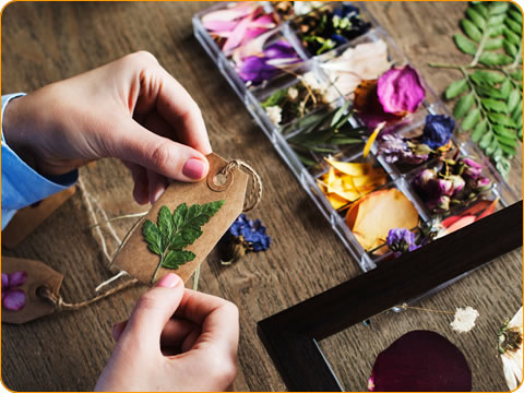 植物雑貨クリエイターの資格が取れる植物雑貨クリエイター養成講座