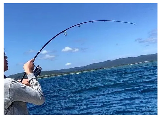 TRANSCENDENCE/トランスセンデンス】MISTRAL XX / ミストラル XX