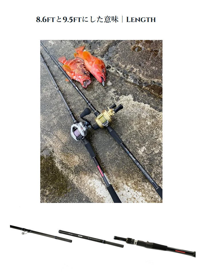 TRANSCENDENCE/トランスセンデンス】Galupa86B+ / ガルッパ86B+