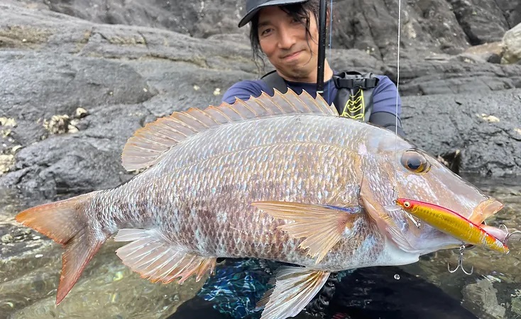 TRANSCENDENCE/トランスセンデンス】Mareflipp 102S / マーレフリップ