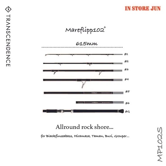 TRANSCENDENCE/トランスセンデンス】Mareflipp 102S / マーレフリップ