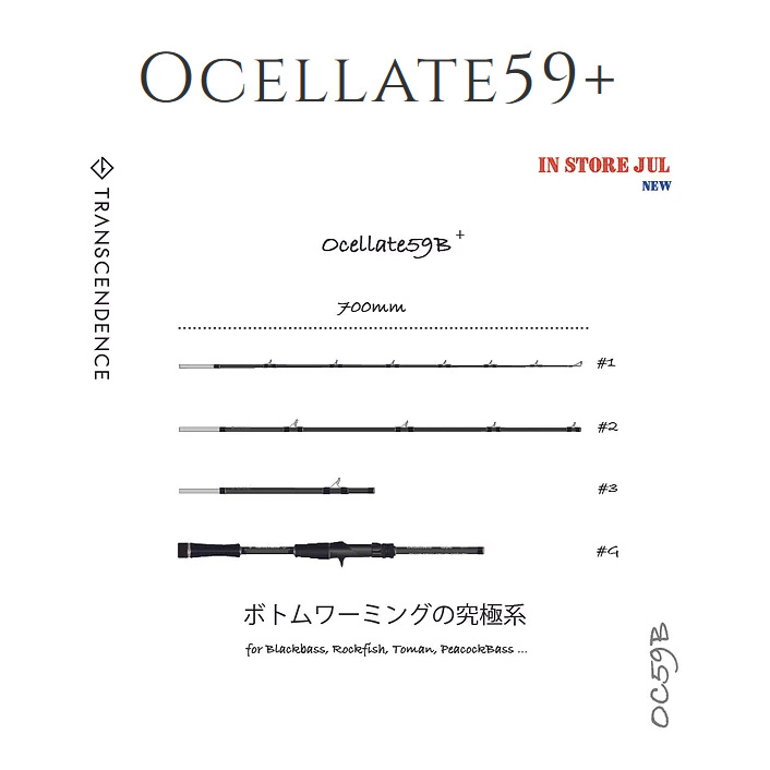 TRANSCENDENCE/トランスセンデンス】Ocelate 59B / オセレイト