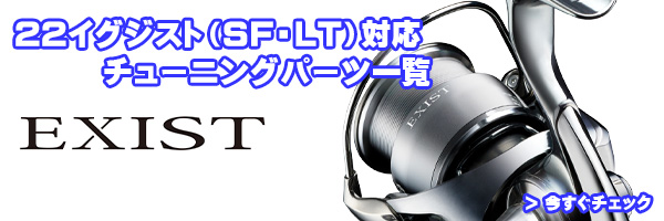 ダイワ純正お取り寄せパーツ：納期1ヶ月】22イグジスト LT4000 製品