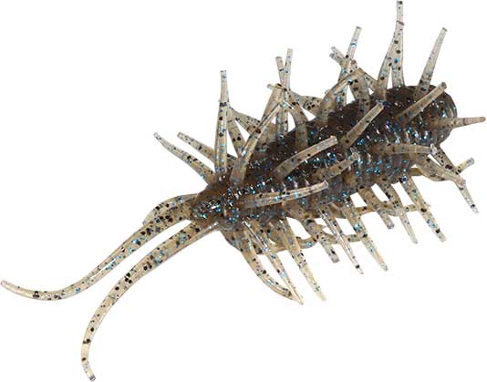 コイケシュリンプ HIDEUP ハイドアップ