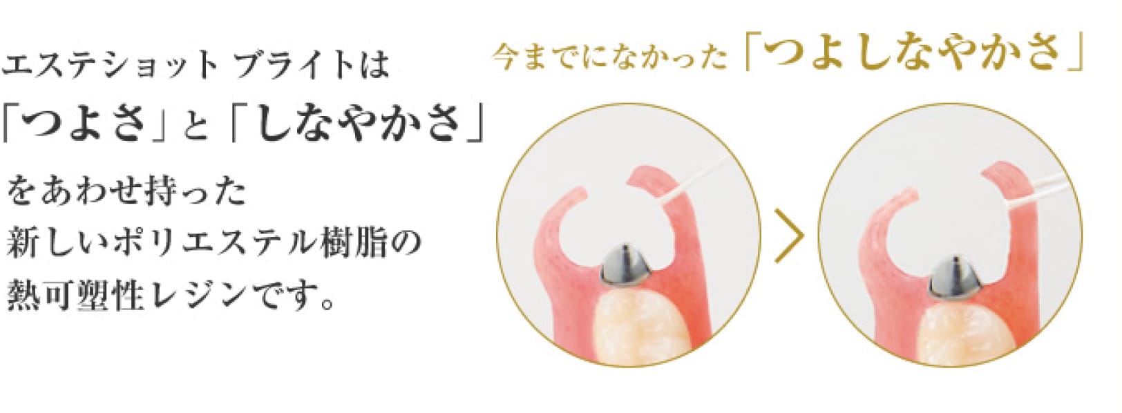 エステショットブライト｜商品｜株式会社アイキャスト