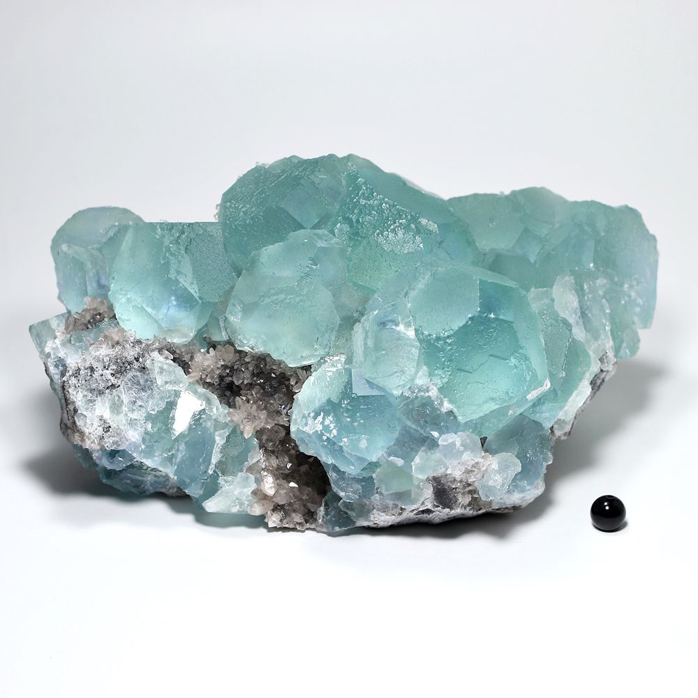 中国/福建省産グリーンフローライト結晶原石/水晶共生（天然蛍石/大型