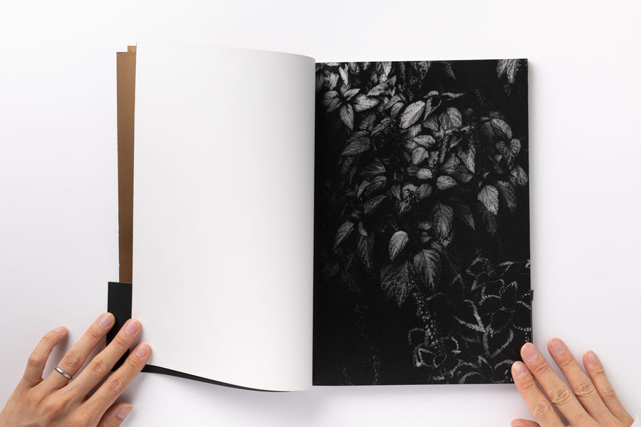 Adieu A X by 中平卓馬 – IACK