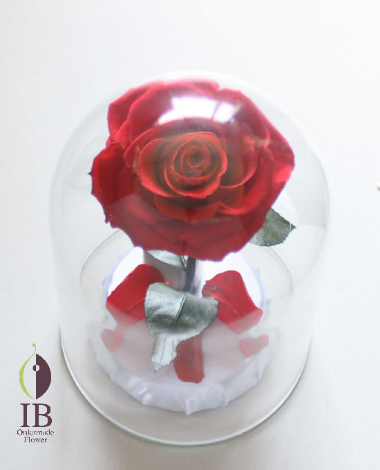110628in一輪の赤い薔薇 | ブリザーブドフラワーのオーダーメイド専門