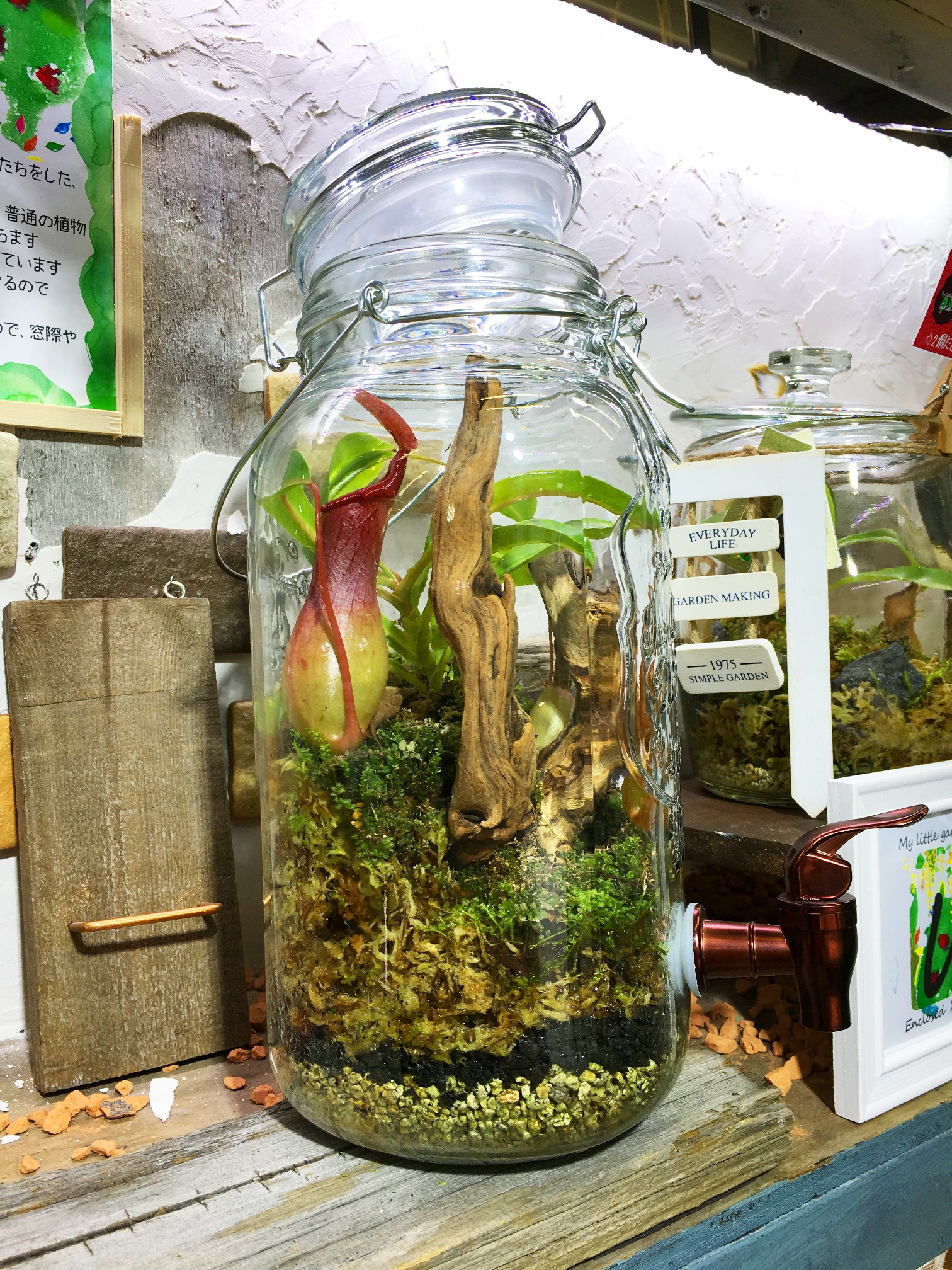 お手入れ簡単インテリアグリーン】ショップ店員にきいた【ボトル