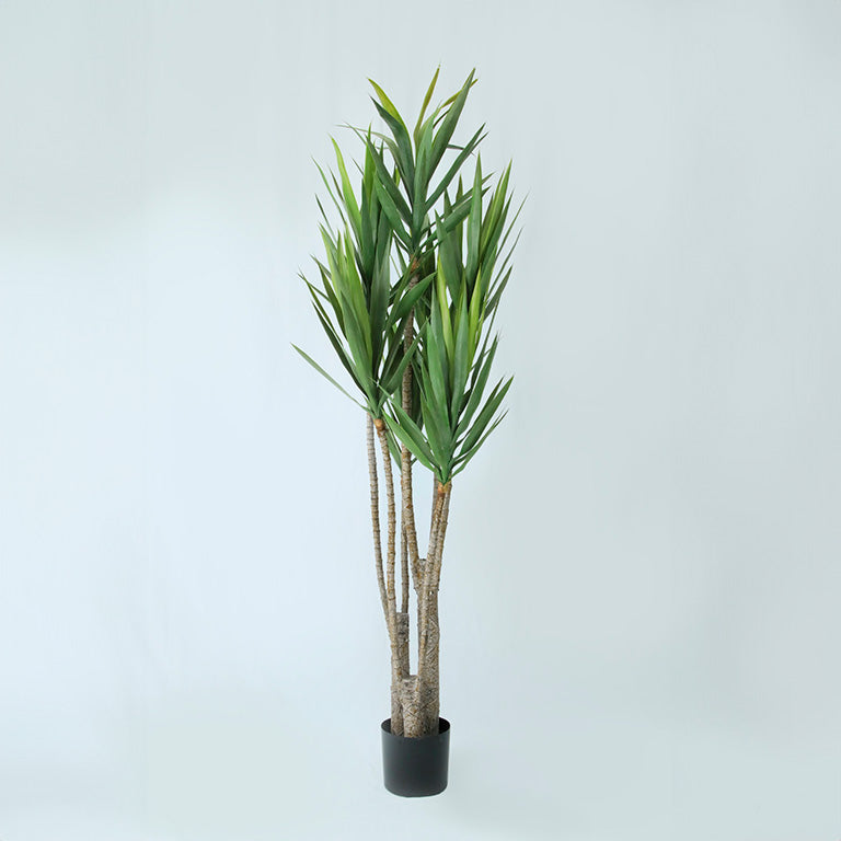 ユッカツリー フェイクグリーン | 植物・造花の店舗ディスプレイ