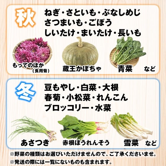 山形市場厳選】おまかせ 野菜セット 7品目 野菜BOX: JAてんどう