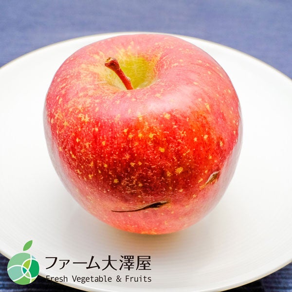 ファーム大澤屋 サンふじ 志賀高原産名人のはねだしりんご 家庭用 約