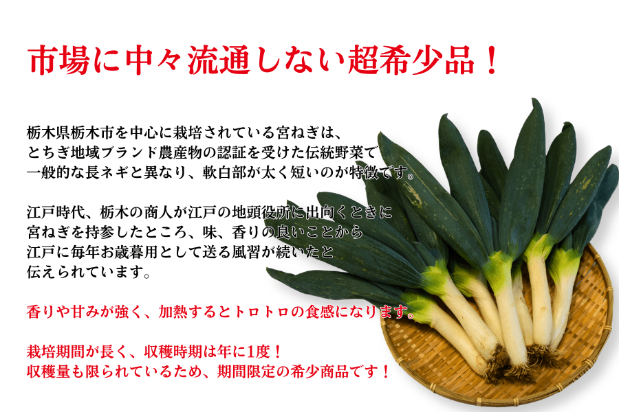 数量限定！】宮ねぎ (約4kg/30～40本) JAしもつけ産 ※12/8以降順次出荷