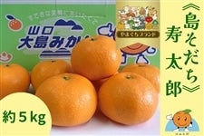 やまぐちブランド】≪島そだち≫山口大島みかん「寿太郎温州」【数量
