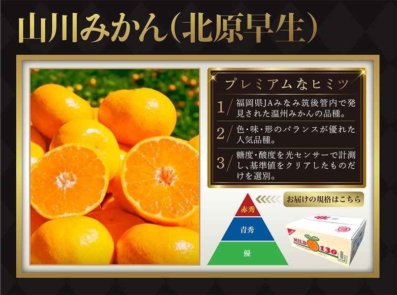 2025年10月予約開始予定】【限定30箱】◎JAみなみ筑後【赤秀】山川