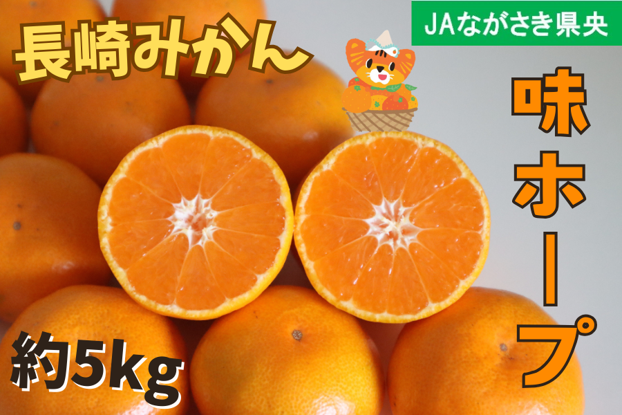 数量限定】長崎みかん『味ホープ 約5kg』(JAながさき県央): もぐもぐ