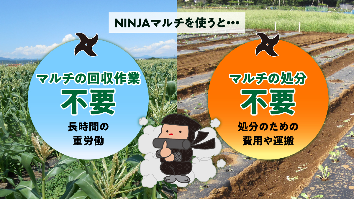 MS-64BK200 - 生分解性マルチフィルム 株式会社オーミヤ