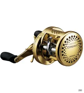 カルカッタ コンクエスト [CALCUTTA CONQUEST] コンクエスト401(左