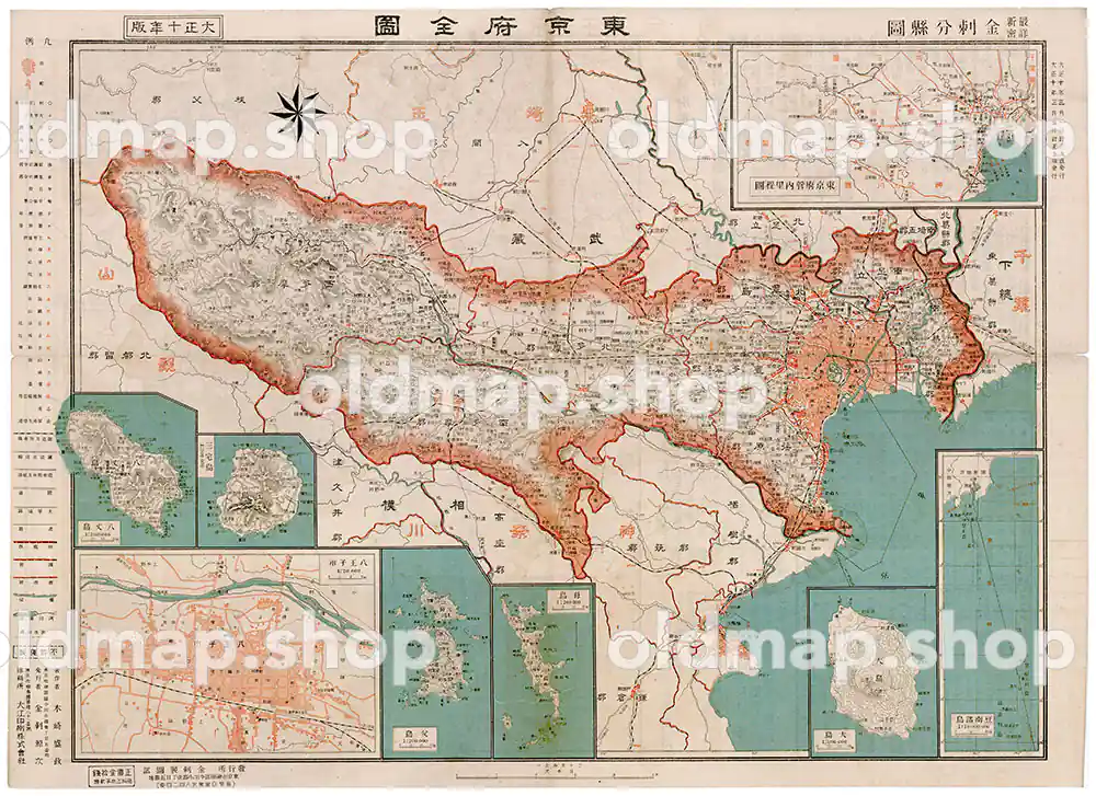 東京府全図 大正10年(1921) – 金刺分県図 古地図 古地図素材データの