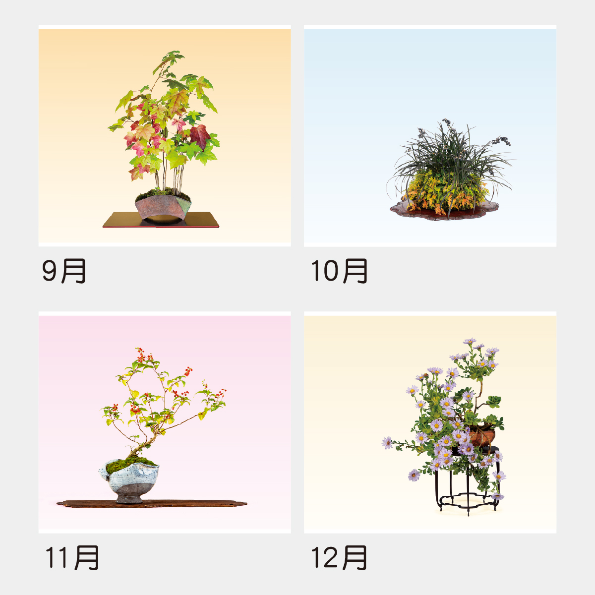 TD-819 野草盆栽2026年版の名入れカレンダーを格安で販売 - 名入れ