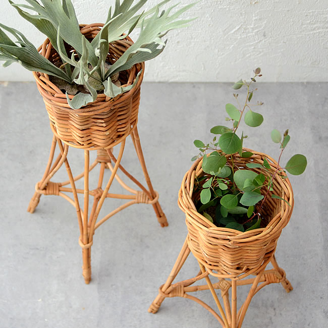 ラタン プランタースタンド | ゼネラルストア オルネ