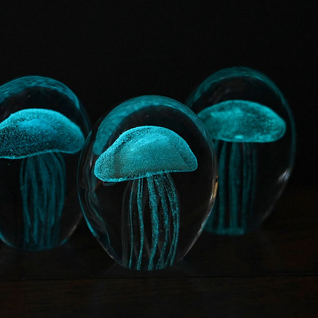 OVAL ガラスアート ジェリーフィッシュ クラゲ | ゼネラルストア オルネ