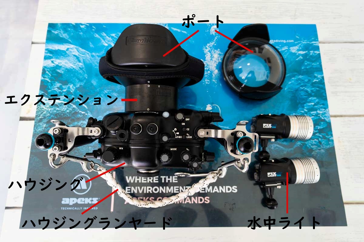 ダイビングにおすすめのミラーレス一眼と一眼レフの水中カメラ