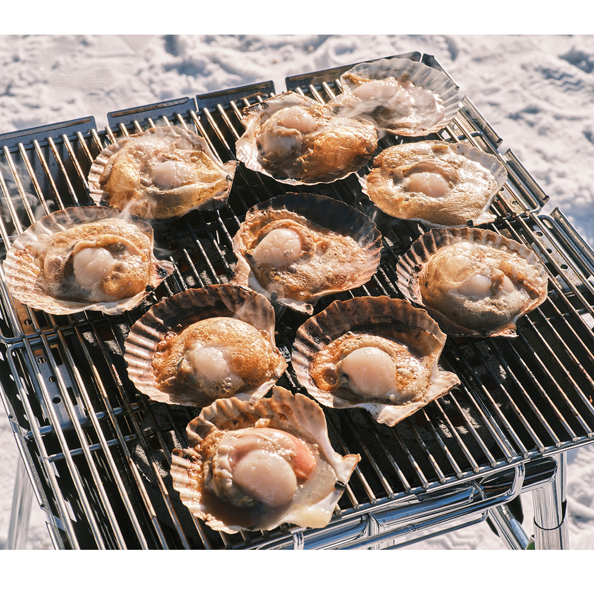 LOGOS theピラミッド篝火 L|ギア|グリル・たき火・キャンドル