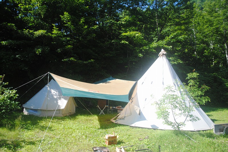 ノルディスクのアルフェイムとアスガルドを向かい合わせてファミキャン