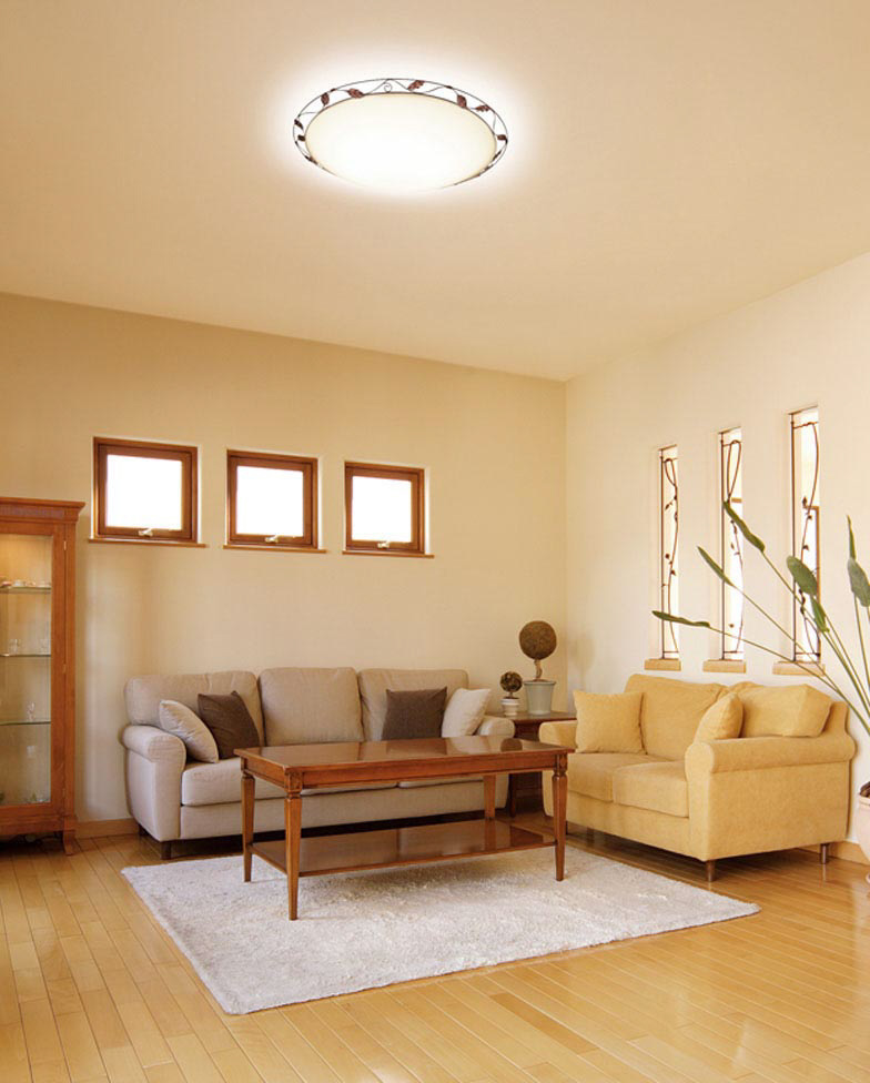 ODELIC オーデリック シーリングライト OL251456R | 商品紹介 | 照明