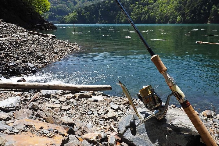 スタッグ ～ 感じるか！？ 骨伝導が伝える魚達の躍動！ ～ | ルアー
