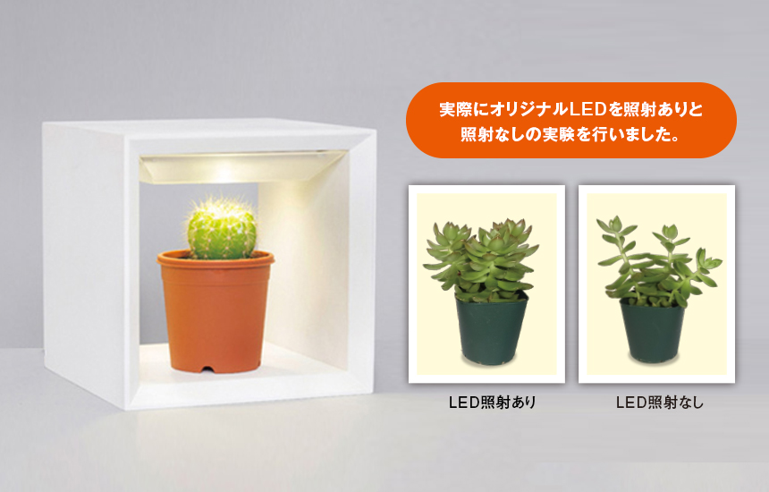LED植物育成ライト(小) Akarina09 室内栽培 木製 MAI09【梱包80サイズ