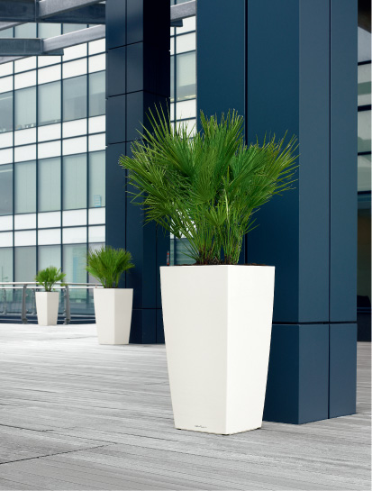 キュービコ | レチューザ・プレミアム | 松尾貿易商会