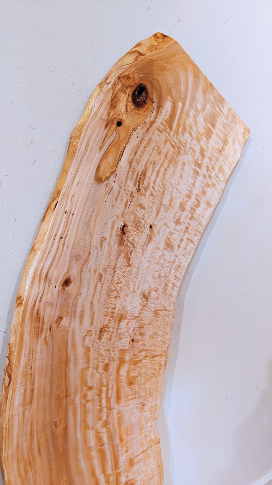 神奈川県 海老名店展示 一枚板栃(トチ)材 テーブル用天板 ｜一枚板