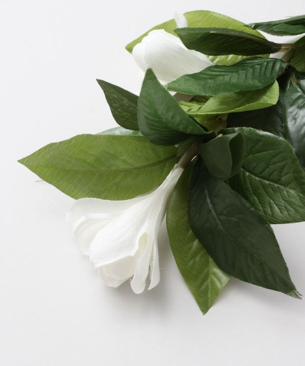 マウナロア【Maunaloa】|フラダンス衣装の専門店|チューブローズ