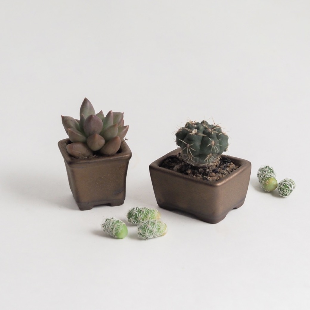 ミニ盆栽鉢 6個セット / 瀬戸焼