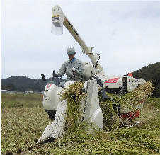 刈取性能｜Combine V217/319｜コンバイン｜製品情報｜製品紹介｜三菱