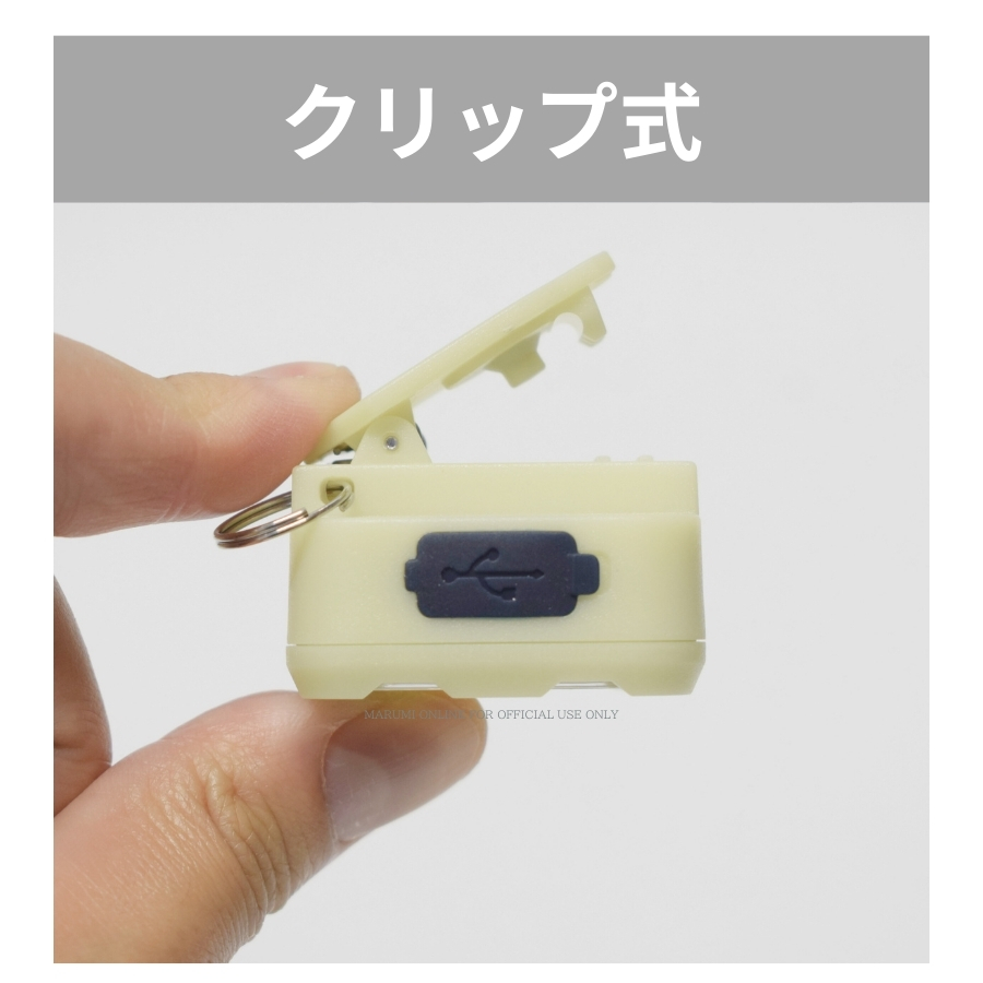 BIGMAN ビッグマン 【蓄光】 小型 LED ミニミニポケットライト充電式