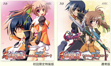 真・恋姫†無双〜乙女大乱〜 -- 商品情報