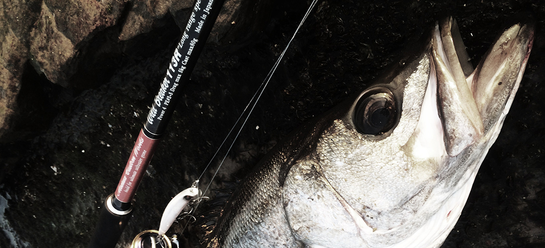 MCワークス Wildbreaker 113RS 磯ヒラ ワイルドブレーカー MCワークス