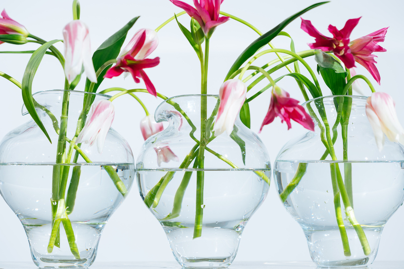 MONI flowervase | MIHO FLOWERS