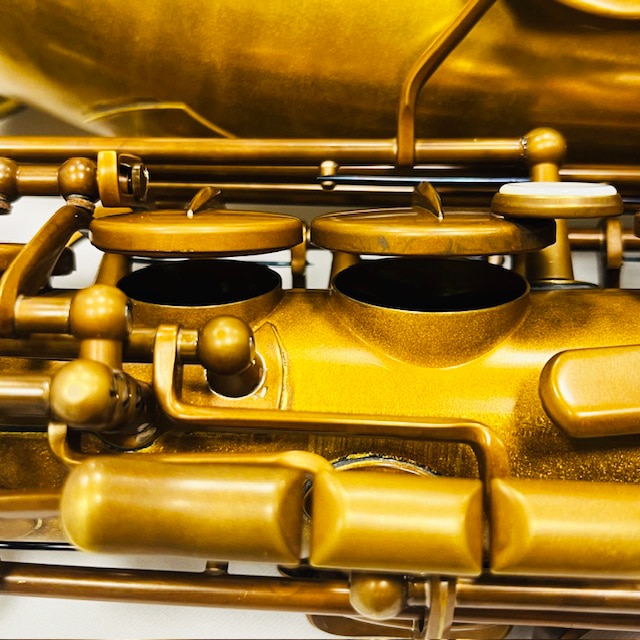 フォレストーン A.SAX GX CognacVintage: 管楽器｜三木楽器公式通販サイト