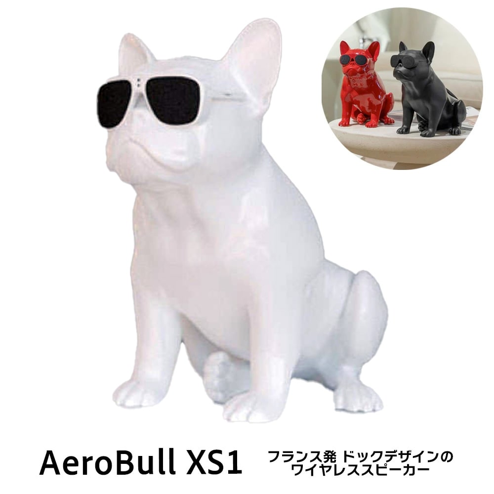 Aerobull ワイヤレス スピーカー XS1 (ホワイト) 【国内正規品