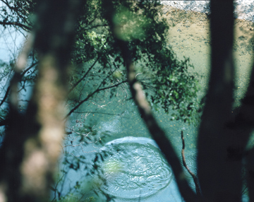 Risaku Suzuki - Stream of consciousness | Exhibitions | Marugame