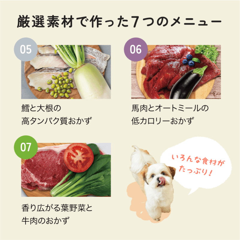 7Days Food（セブンデイズ フード）フリーズドライ 全種類セット