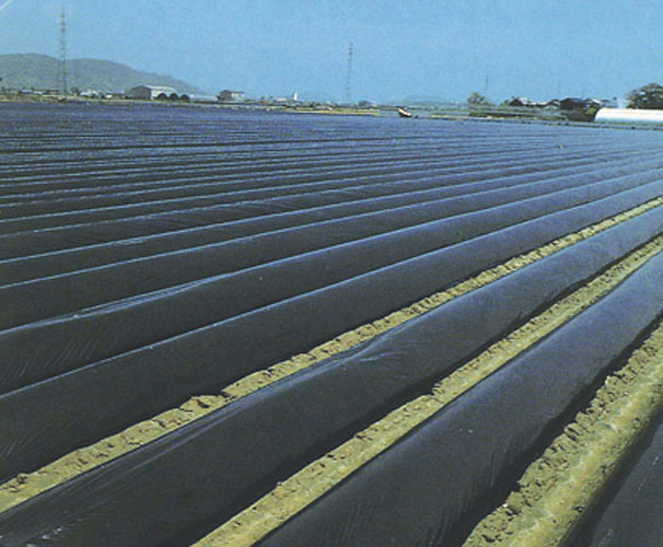 国産黒マルチ 厚さ0.02mmX長さ200m｜品揃え日本最大級！農業資材