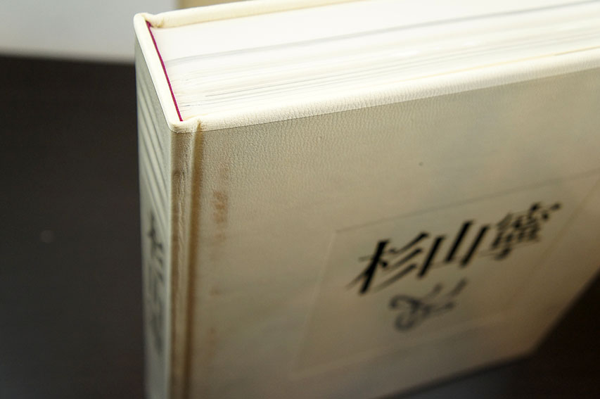 杉山寧画集 限定版 / 杉山寧 | Natsume Books