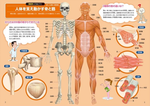 これでわかる！人体解剖パーフェクト事典 | ナツメ社